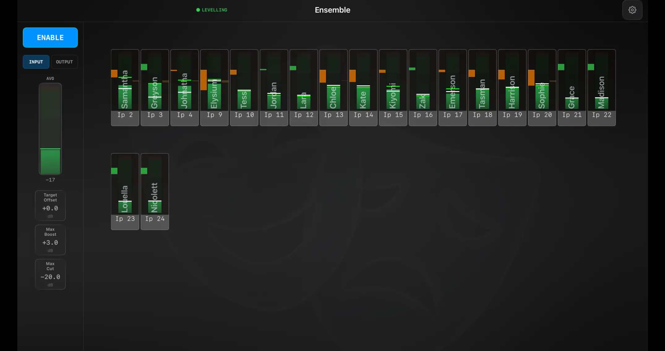 Ensemble running — LEVELLING lit in the header, the sidebar with ENABLE, the input/output toggle, the AVG meter and the quick-adjust cards, and a meter strip for each mic currently in the ensemble