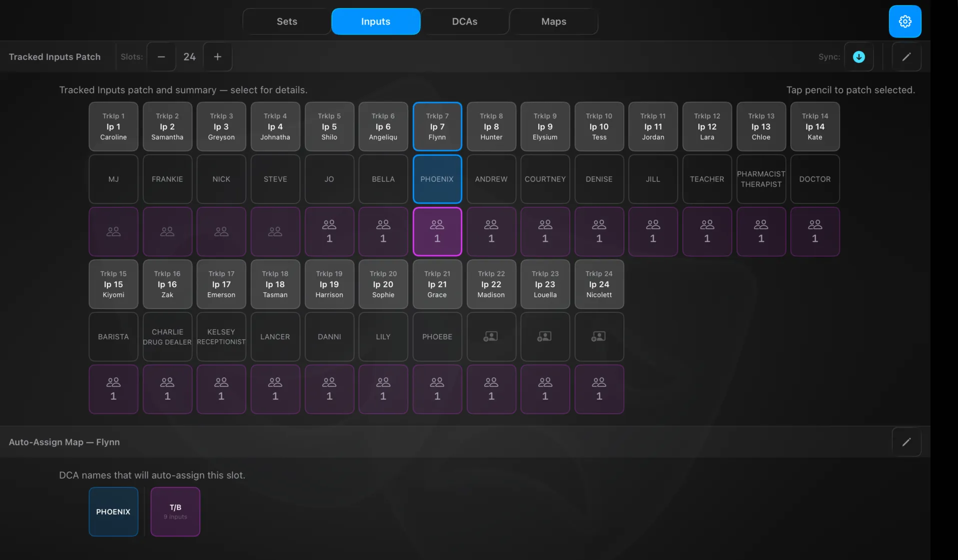 Settings → Routing → Inputs — the tracked-inputs patch with each slot's solo name and group membership, and the auto-assign map for the selected input